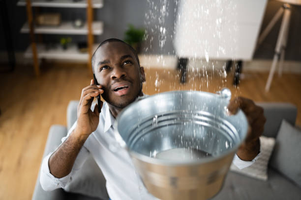 Best Water damage restoration process  in Houghton, NY