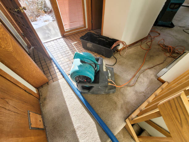 Best Commercial water damage restoration  in Houghton, NY