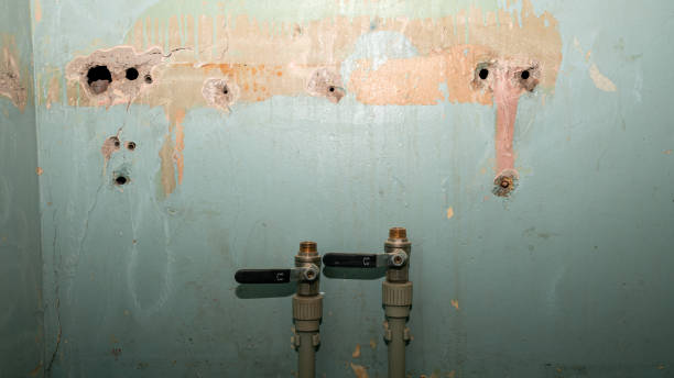 Best Flooded house restoration  in Houghton, NY